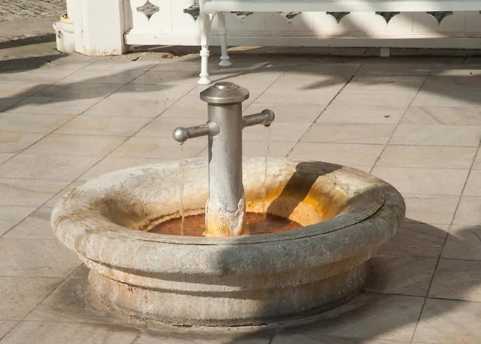 Spa Moser *